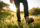 “출근 전 10분 산책, 스트레스 호르몬을 낮춘다”